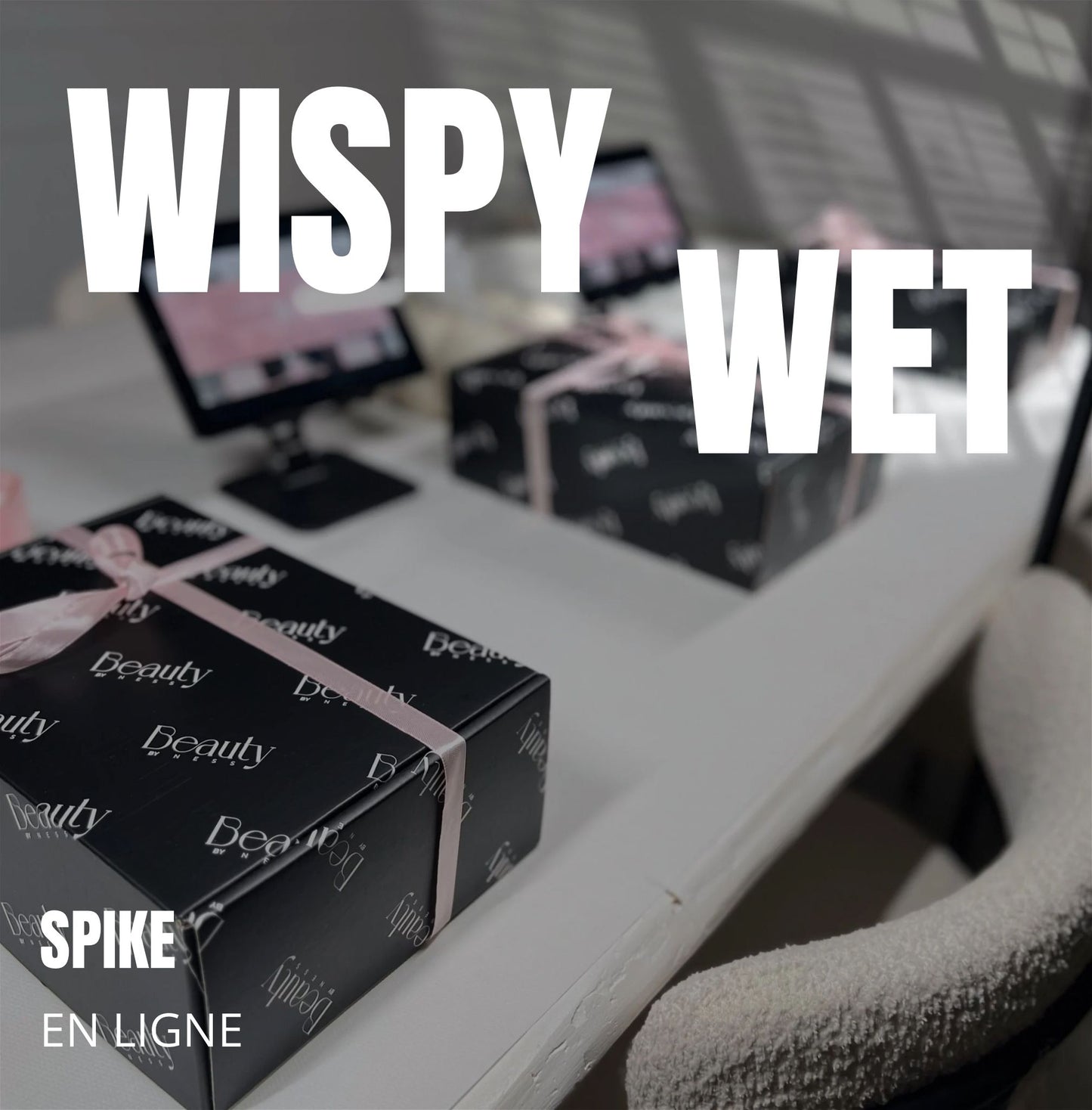 FORMATION EN LIGNE WISPY WET